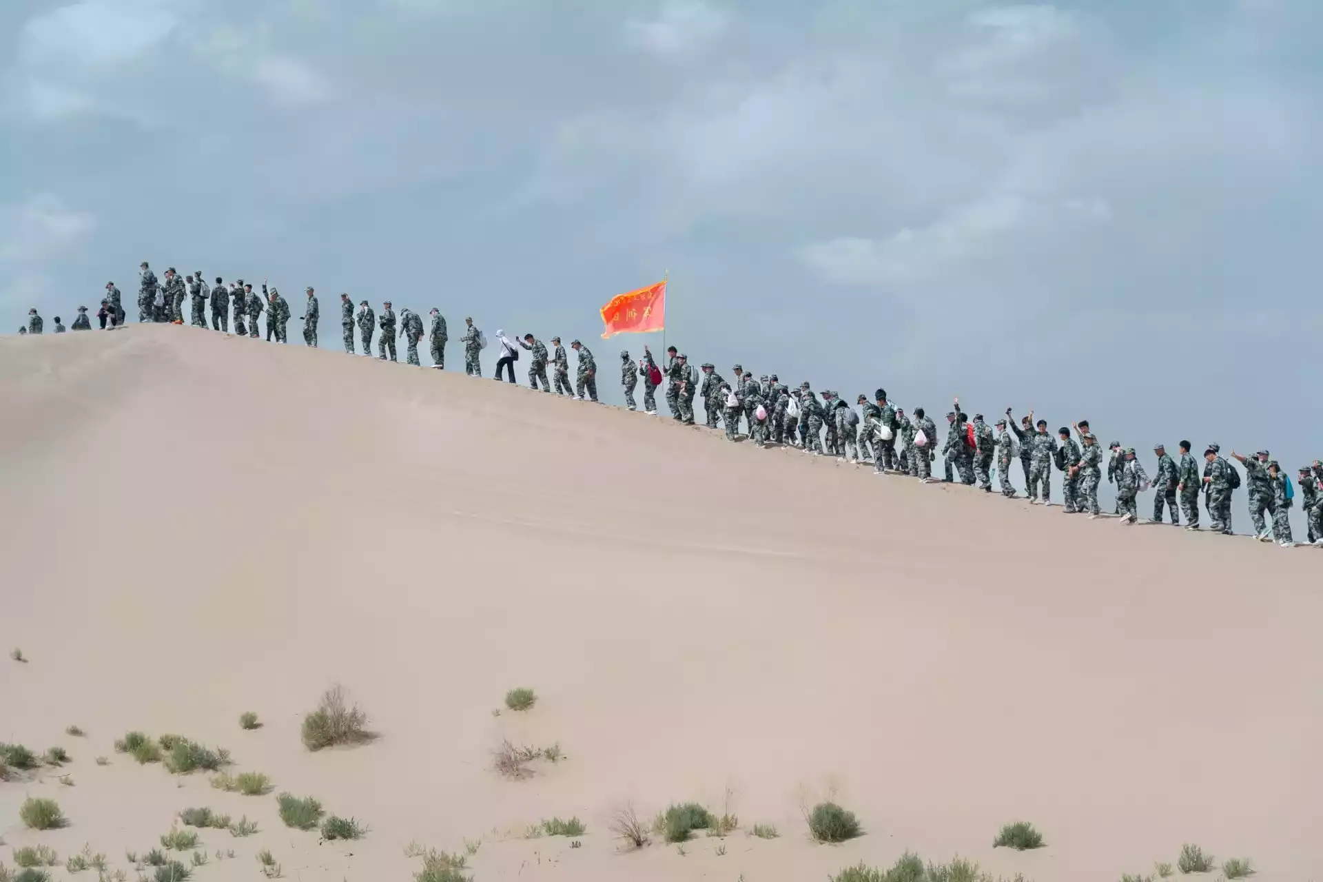 1000015153