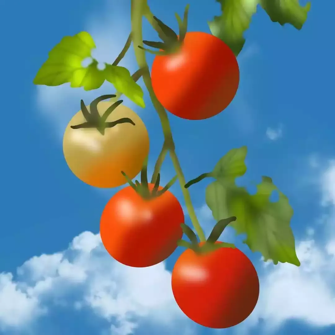 Orange 1785087269942