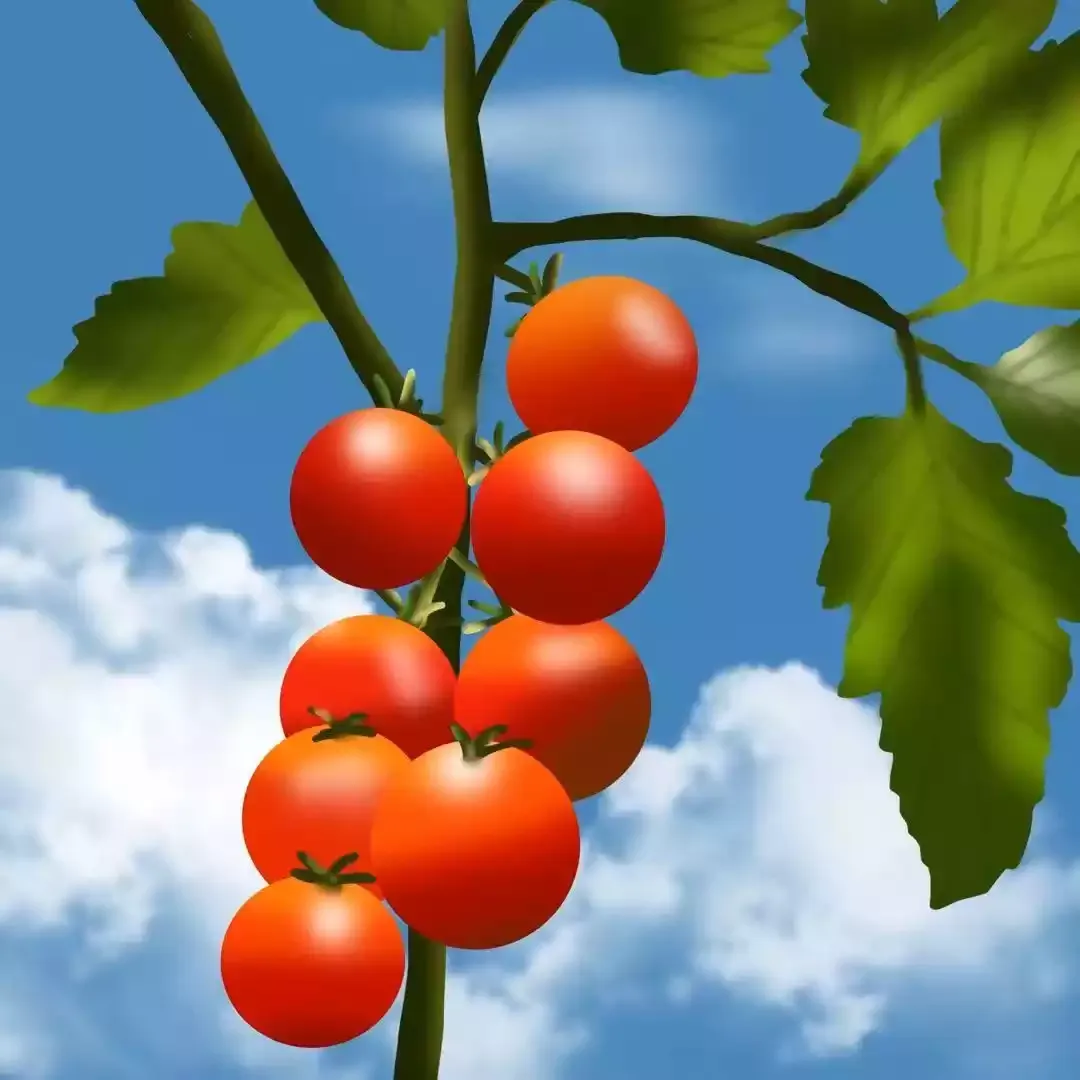 Orange 1785087270248