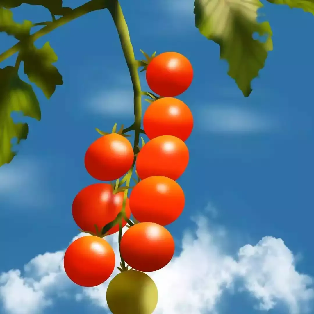 Orange 1785087270514